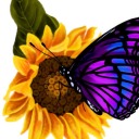purple-butterfly-and-sunflowers