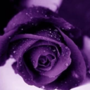 purpleglitterdance-blog