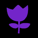 purpletulipmuses-blog