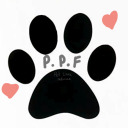 put-pets-first-blog