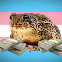 queer-toad