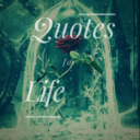 quotes-and-questions