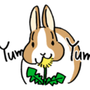 rabbitsense avatar
