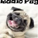 radiopug-blog
