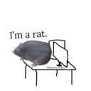 rat-9991