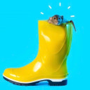rat-in-rainboots