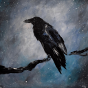 raven-starlight