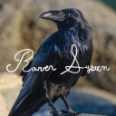raven-system