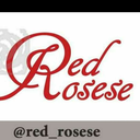 red-rosese