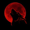 redwolfdreams