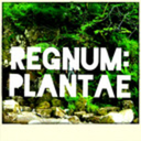 regnum-plantae