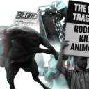 rodeocruelty