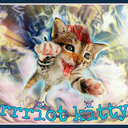 rrriot-kitty