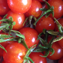 ruler-of-tomatoes-blog
