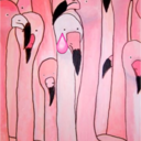 sad-pink-flamingo-blog