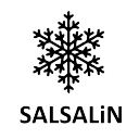 salsalin-blog