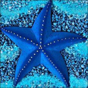 salty-starfish