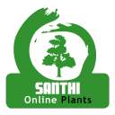 santhionlineplants
