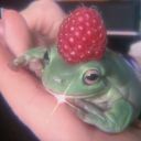 sapphic-frog-queen