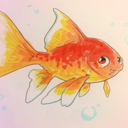 saucy-thegoldfish
