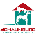 schaumburgvethospital-blog