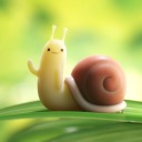 sexc-snail
