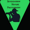 seyidovgramnaturephotography
