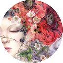 shadowscapes-stephlaw