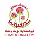 shamdoonia