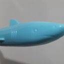 shark-pen