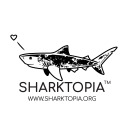 sharktopia
