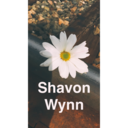 shavonwynn-blog