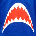 shekby-shark