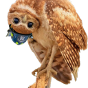 shortsighted-owl