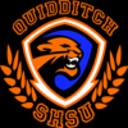 shsuquidditch