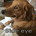 side-eye-lol