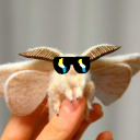 silmply-moths-reblog-blog