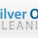 silverolascleaning