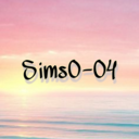 sims0-04-blog