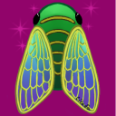 singing-cicada
