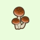 skinny-mushroom