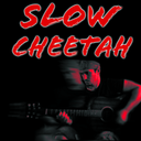 slowcheetah-man-blog