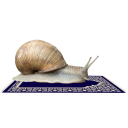 snail-reverts