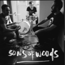 sonsofwoods-blog-blog