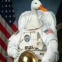 space-an-endless-void-of-ducks
