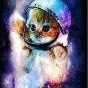 space-catsun