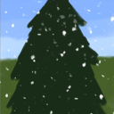spruce-and-snow