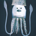 squephalopod