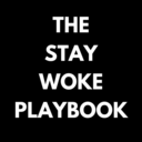 staywokeplaybook-blog