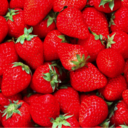 strawberry-boogie